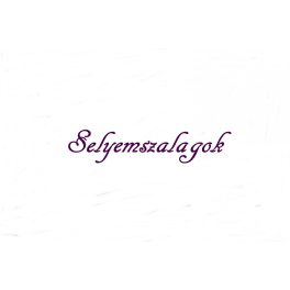 Selyemszalag